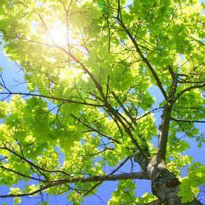 成人三级视频在线
